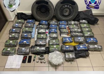 Vinte nga Shqipëria, kapet 49-vjeçari grek me 43 kg marijuanë