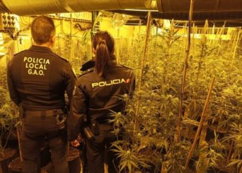 Shkatërrohet banda e drogës në Spanjë, 5 shqiptarë në pranga