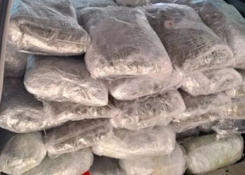 Kapen mbi 126 kg drogë në kufirin greko-shqiptar