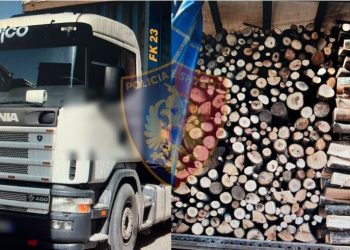 Sekuestrohen 65 m3 dru zjarri të prera, arrestohet 40-vjeçari