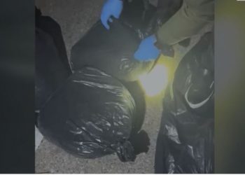 VIDEO\ U kapën me 8 kg kanabis në makinë, arrestohen 2 persona