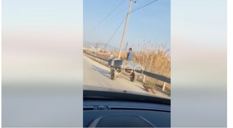 Video skandali në Kuçovë, reagon policia