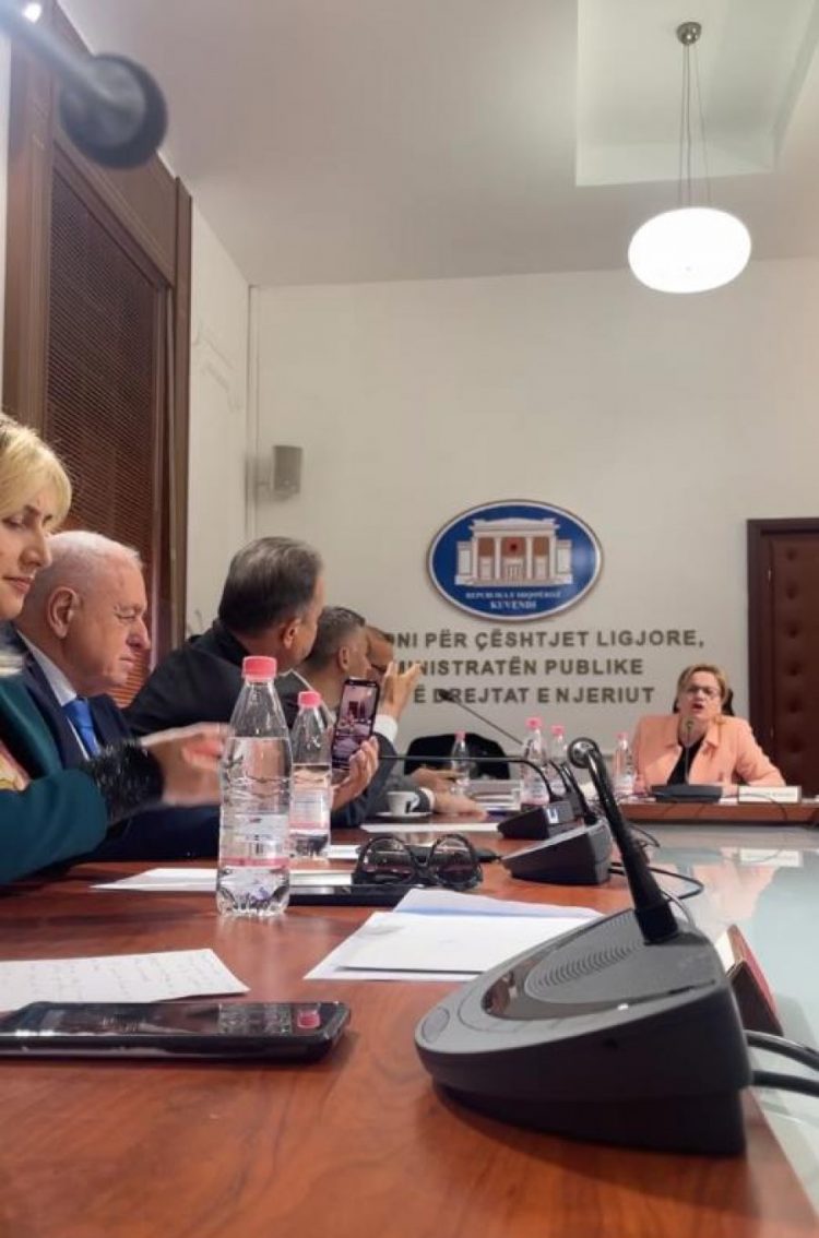 Përjashtimi i deputetëve të PD,  Bushka: Na pushkatoni