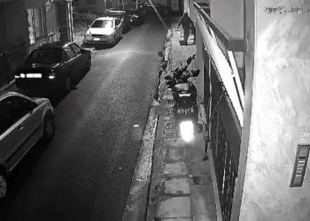 VIDEO+16/ I riu godet macen dhe e vret atë