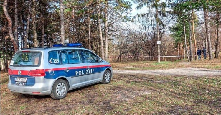 Tronditet Gjermania, 5-vjeçarja gjendet e vdekur në park