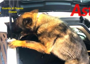 Itali/Qeni ‘merr në qafë’ shqiptaren, i gjen drogë në makinë