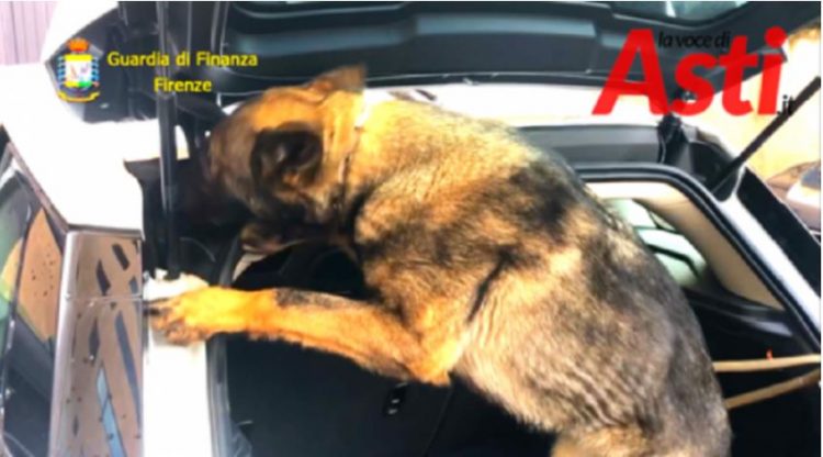 Itali/Qeni ‘merr në qafë’ shqiptaren, i gjen drogë në makinë