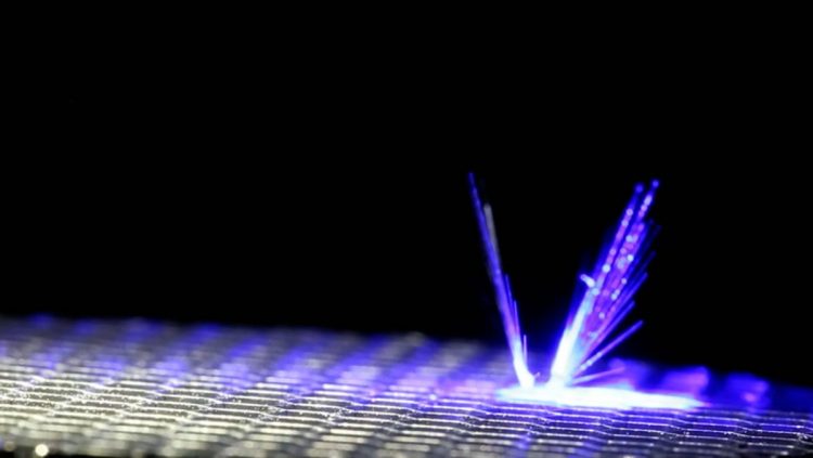 Shpiket roboti që mund të zëvendësojë bletët