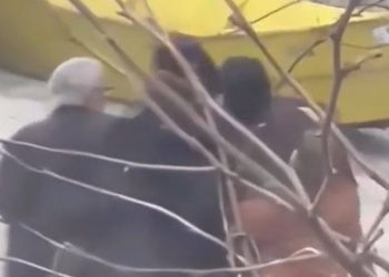 VIDEO/ Sherr mes dy burrave në Shkodër