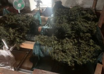 Policia zbulon dy “shtëpi bari” në Selenicë dhe Vlorë