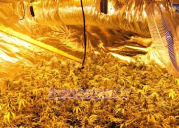 Në kërkim ndërkombëtar, arrestohet 22-vjeçari shqiptar