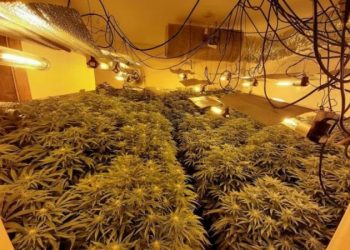 Angli/ U kap brenda “shtëpisë së barit”, dënohet  i riu shqiptar