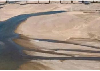 Franca po përballet me thatësirën më të madhe që nga viti 1959