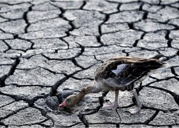 Europë/ Mungesa e borës, paralajmërim për thatësirë ekstreme