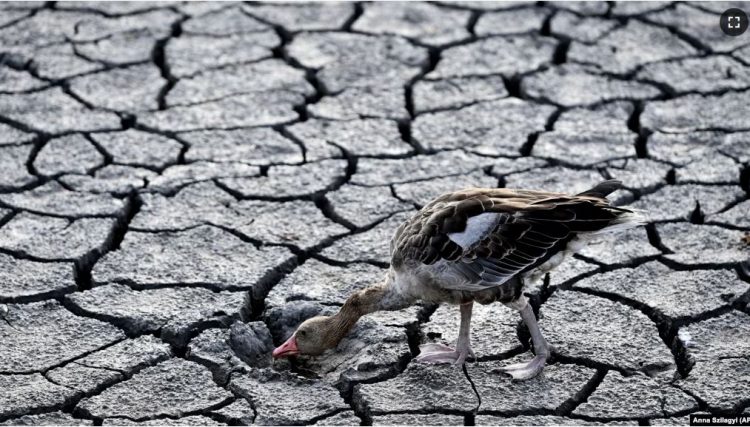 Europë/ Mungesa e borës, paralajmërim për thatësirë ekstreme