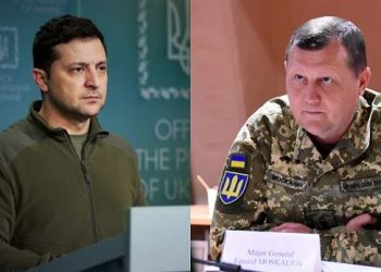 Zelensky shkarkon komandantin e forcave të Ukrainës
