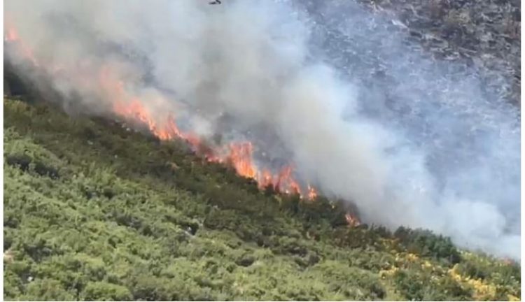 Zjarr i madh në Dukat dhe fshatrat përreth