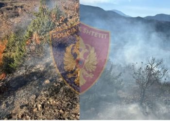 Ndezi zjarr te “Kepi i djepzave”, pranga autorit në Klos