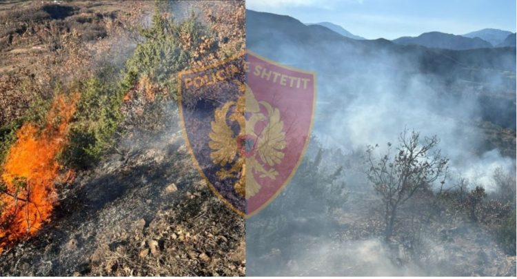 Ndezi zjarr te “Kepi i djepzave”, pranga autorit në Klos