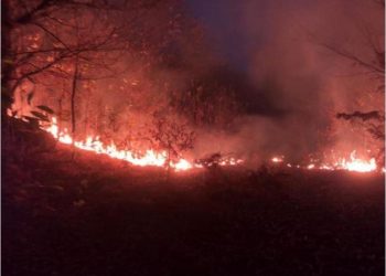 Zjarr në kodrat e Kuzum Babasë në Vlorë