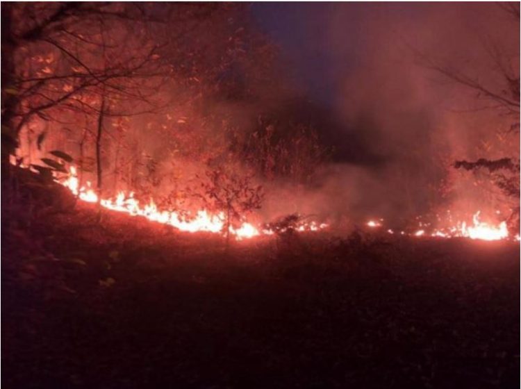 Zjarr në kodrat e Kuzum Babasë në Vlorë
