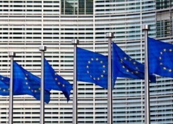 Eurodeputetët, peticion specifik për të pasurit