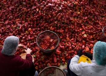 Gratë të cënuara nga informaliteti në bujqësi