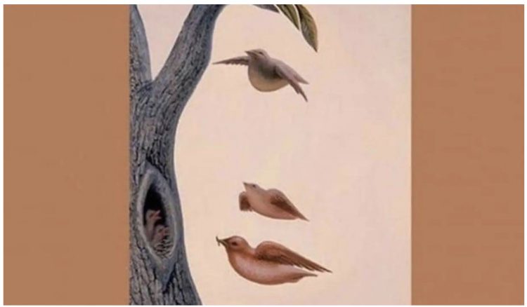 TEST PSIKOLOGJIK / Gjeni dëshirën që fshihet në zemrën tuaj