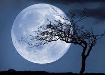 Hëna e re në Dash paralajmëron ndryshime të mëdha