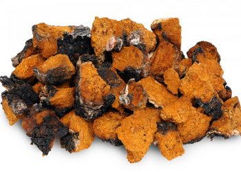 Kjo është “lëvorja e djegur” e aftë për të na shpëtuar nga kanceri