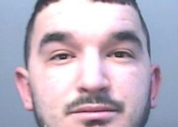 U kap në shtëpi bari, shqiptari ‘shokon’ gjyqtarët me atë që…