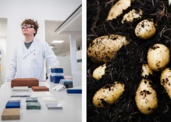 Ja materiali kryesor që do shërbejë për ndërtimin e shtëpive në Mars