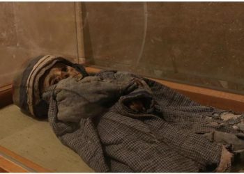 Gjendet mumia 800-vjeçare në Peru