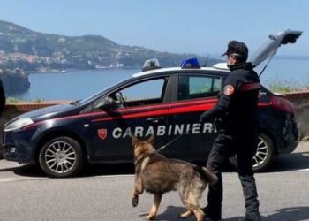 Shpërndanin drogë në institut, arrestohen vajzat