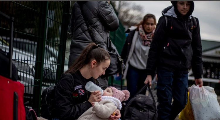 Mbi 4 milionë ukrainas janë strehuar në BE brenda një viti