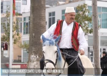 Shkon në protestë me kalë, protestuesi ka një thirrje për Luizin