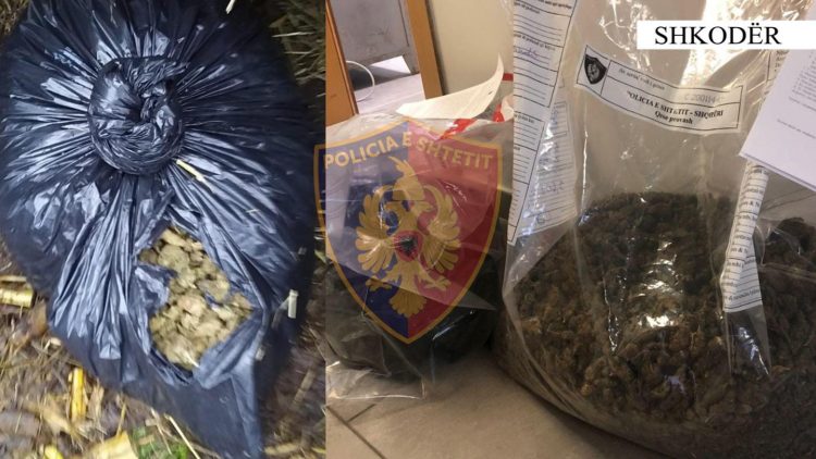 EMRAT/ Shpërndanin drogë në Shkodër, 7 të arrestuar