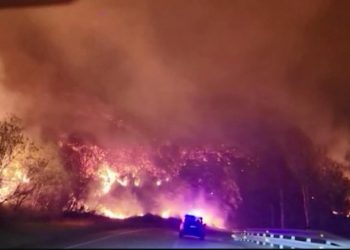 Dëmi kolosal, Spanja bën llogaritë me zjarret shkatërrimtare