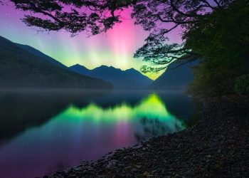 Fenomeni spektakolar verifikohet në Zelandën e Re