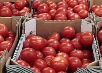 Turqia ndalon eksportet drejt BE-së