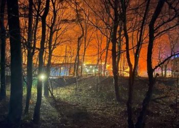 Ç’po ndodh në Gjermani? Shtohen sulmet ndaj azileve