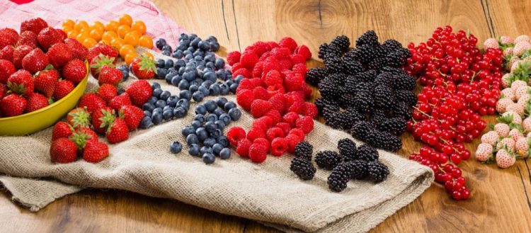 Ja 5 frutat që ndihmojnë shëndetin e mëlçisë tuaj