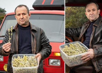 E kapën me çaj mali, policia angleze arreston shqiptarin