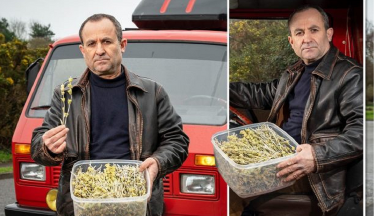 E kapën me çaj mali, policia angleze arreston shqiptarin