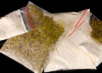 Shqiptari i kapur me kokainë habit gjykatësit: Më duhet për…