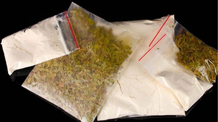 Shqiptari i kapur me kokainë habit gjykatësit: Më duhet për…