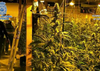 Aksion antidrogë në Spanjë, 9 shqiptarë të arrestuar