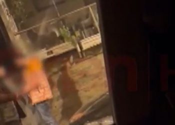 ME VIDEO/ Si shitej droga në shkolla e lokale në Tiranë