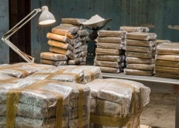 Grupi kriminal shqiptaro-kolumbian, nis procesi në Belgjikë