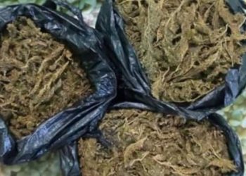 Kapen rreth 6 kg drogë në Shkodër, arrestohen 2 persona